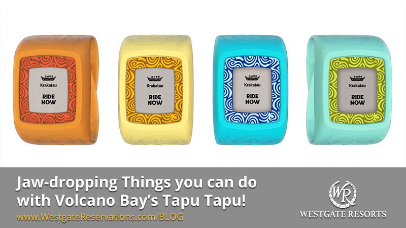 Things you Can do with Tapu Tapu - Universal Volcano Bay
