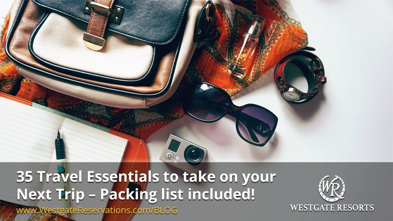 35 Travel Essentials Infographic