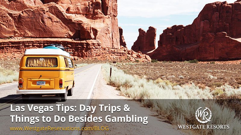 Las Vegas Daytrips