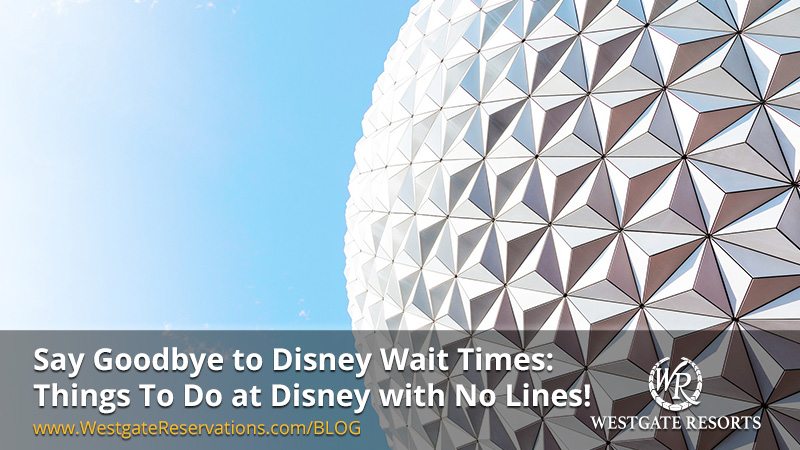 Say Goodbye to Disney Wait Times Things to do At Disney with no lines
