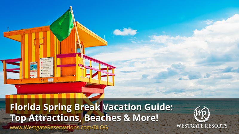 Florida Spring Break Vacation Guide | Top Attractios, Beaches and More