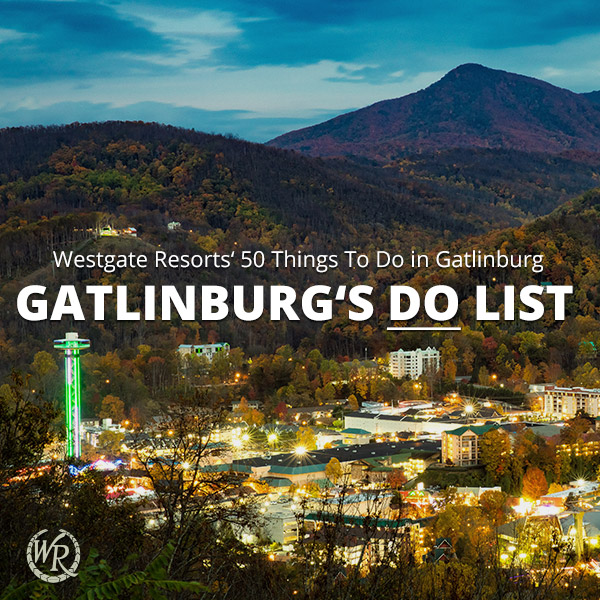Things to Do in Gatlinburg Tennessee: Explore 50 Top Attractions