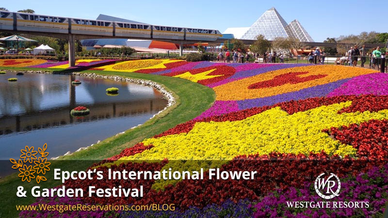 Epcot International Flower and Garden Festival | WestgateReservations