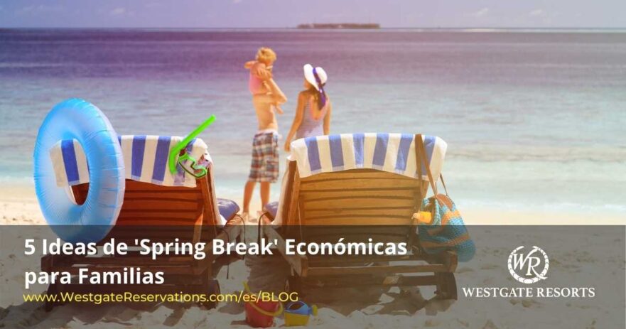 Ideas De Spring Break Economicas para Familias