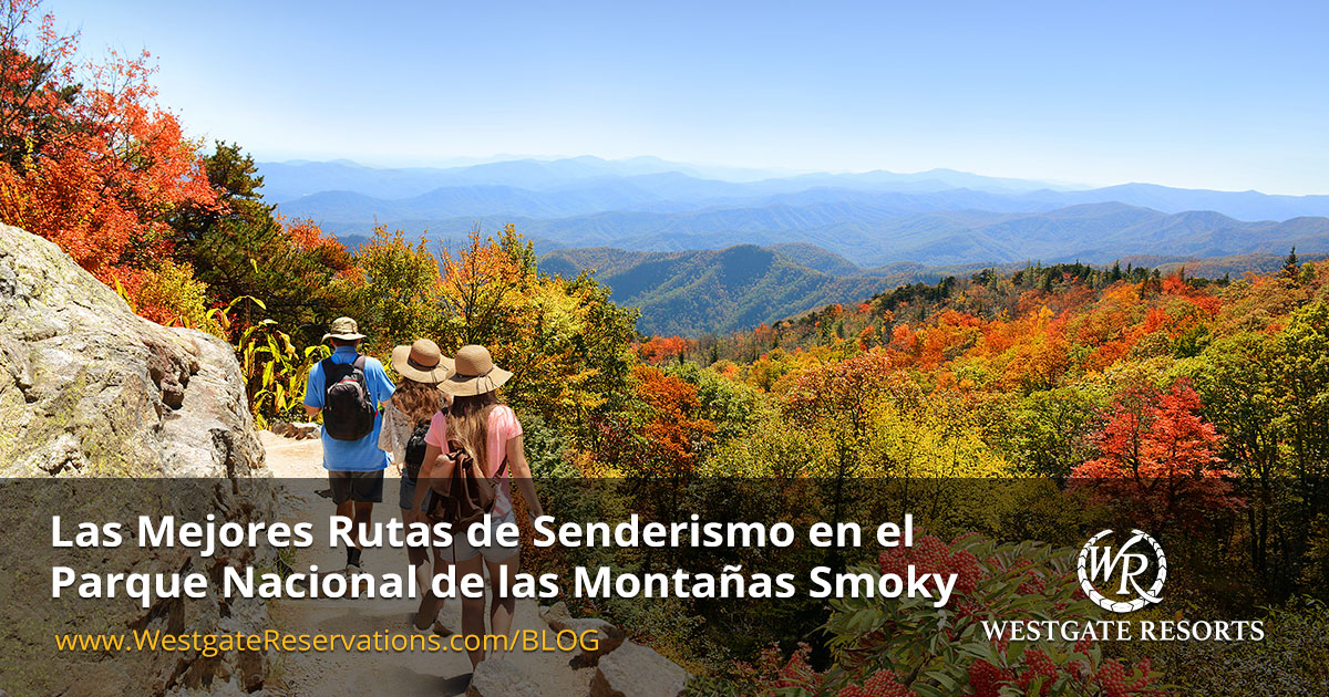 Guía de las Mejores Rutas de Senderismo del Parque Nacional Great Smoky