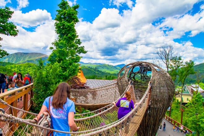Anakeesta Adventure Park