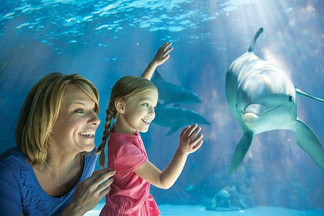 SeaWorld Orlando