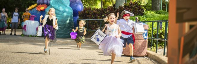 Halloween Vacation Packages