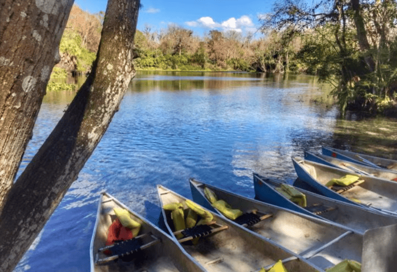 Canoes lined up along the clear waters of Wekiwa Springs State Park surrounded by lush greenery