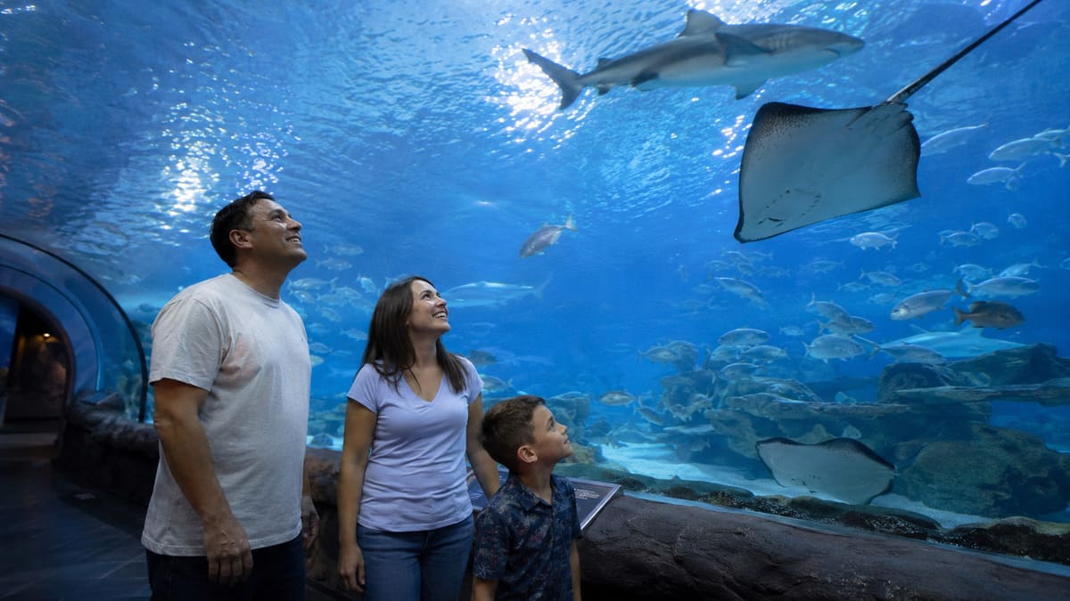Family admiring marine life inside Ripley’s Aquarium in Myrtle Beach.