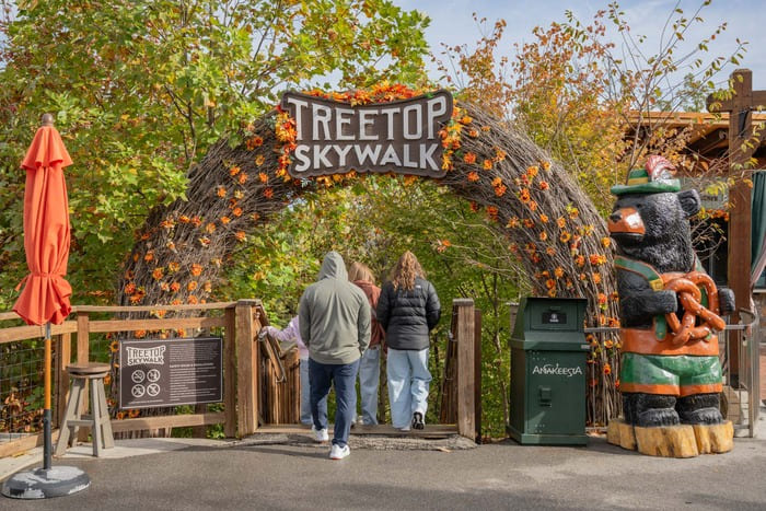 Pase Anual VIP de Anakeesta | Mejores Ofertas en Gatlinburg